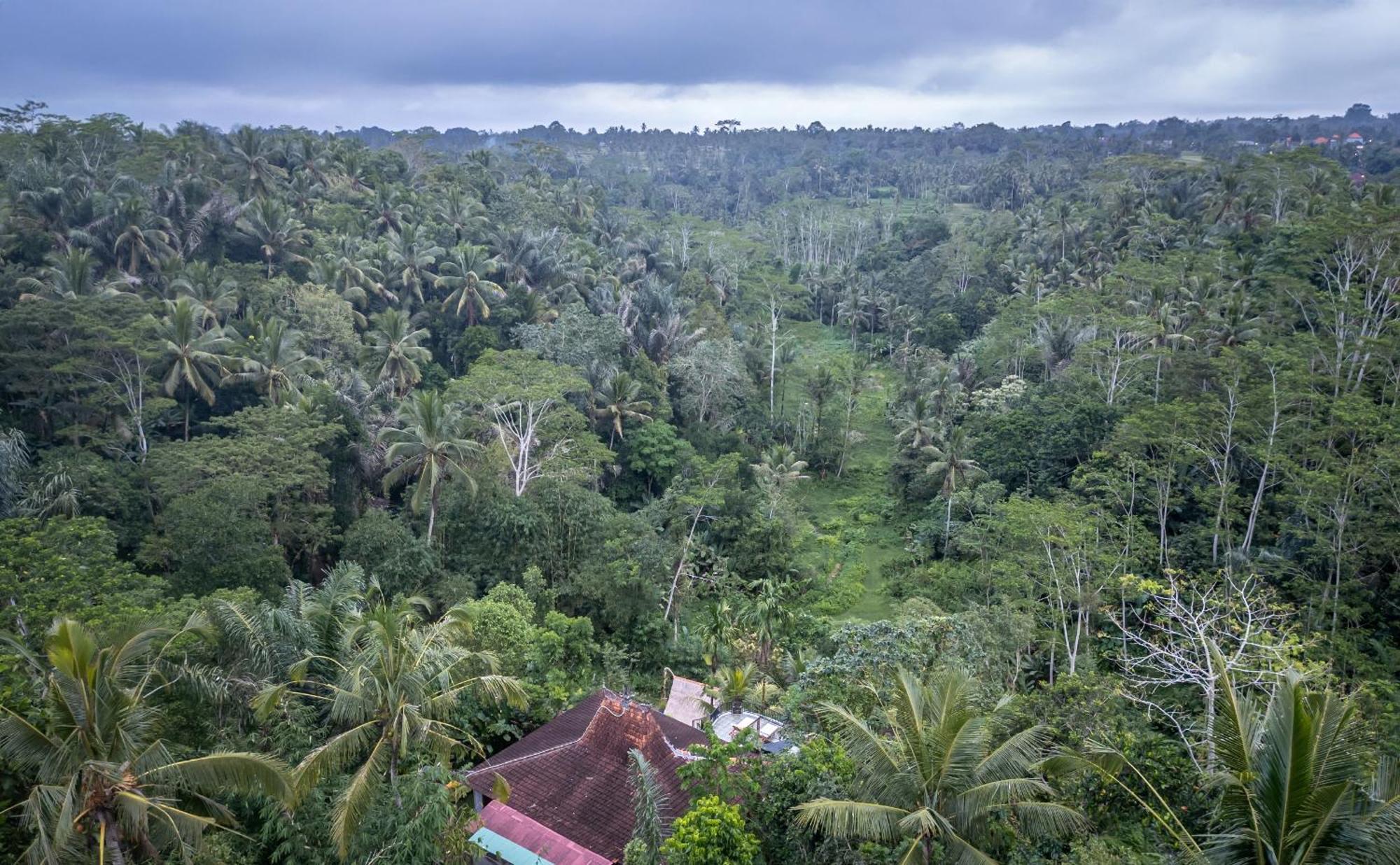 Yoga Maya Villa Payangan Eksteriør bilde